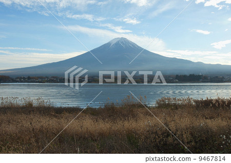 Fuji 9467814