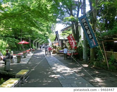 深大寺的參道（東京都調布市） 9468447
