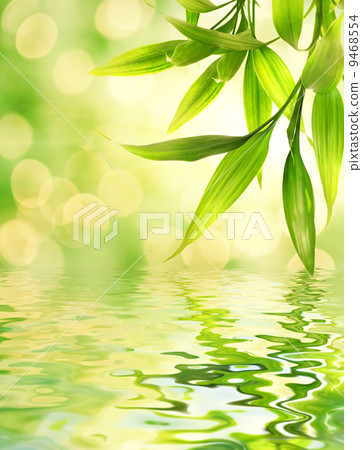 Bamboo leaves reflected in rendered water 9468554