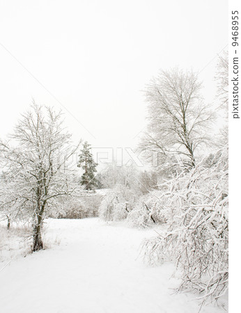 Winter landscape Winter landscape 9468955
