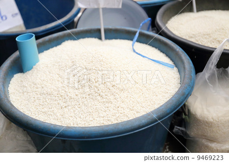 泰國攤位米清邁 9469223