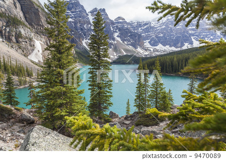 Moraine Lake, Banff National Park, Alberta, Canada 9470089