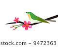 Flowers and birds 9472363