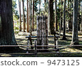  Forest of Zuiganji 9473125