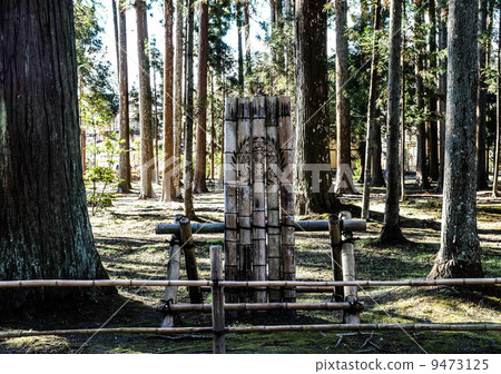 Forest of Zuiganji Forest of Zuiganji 9473125