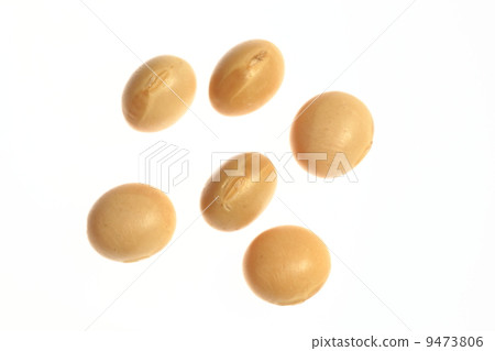 大豆種子 9473806