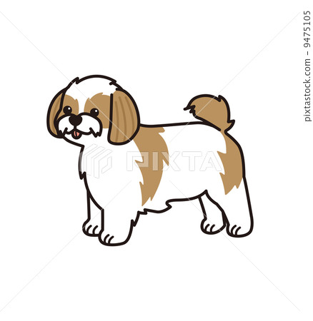 Shih tzu 9475105
