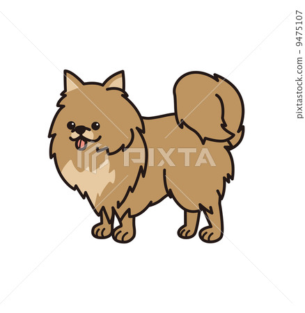 Pomeranian 9475107
