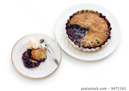 Blueberry Cobbler 9475165