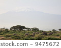 Elephant and Kilimanjaro 3 9475672