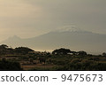 Elephant and Kilimanjaro 4 9475673