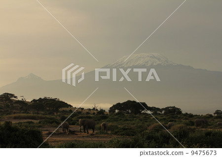 Elephant and Kilimanjaro 4 9475673