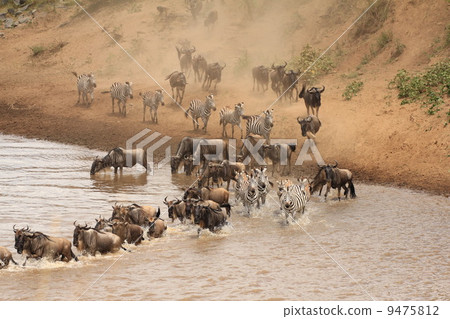 Crossing the river in Nu 9475812