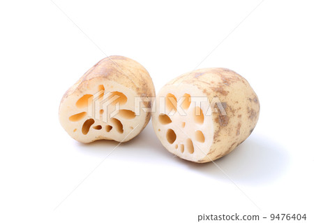 蓮藕 蓮藕 9476404