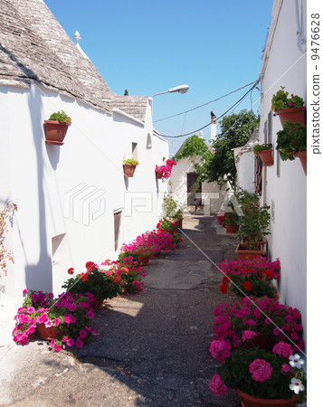 阿爾貝羅貝洛 9476628