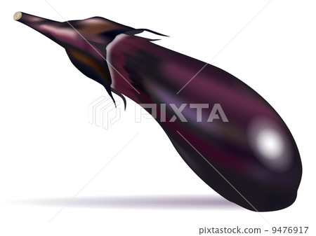 Eggplant_01成像陰影 Eggplant_01成像陰影 9476917