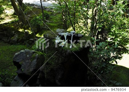 Garden view of Kyoto Anhead Temple Garden view of Kyoto Anhead Temple 9476934