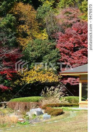 東山植物園在秋天 東山植物園在秋天 9476970