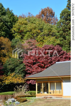 Higashiyama Botanical Garden in the fall Higashiyama Botanical Garden in the fall 9476972