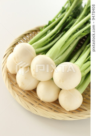 小蘿蔔 小蘿蔔 9478408