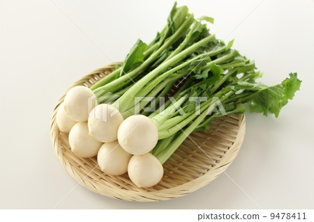 Small turnip 9478411