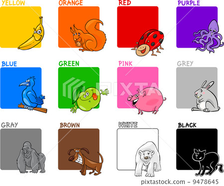 primary colors cartoon set primary colors cartoon set 9478645