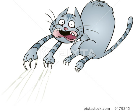 Frightened cat Frightened cat 9479245