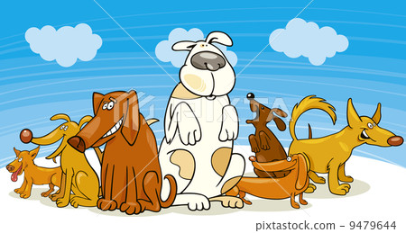 Group of funny dogs 9479644