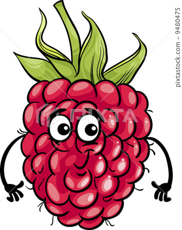 funny raspberry fruit cartoon illustration 9480475