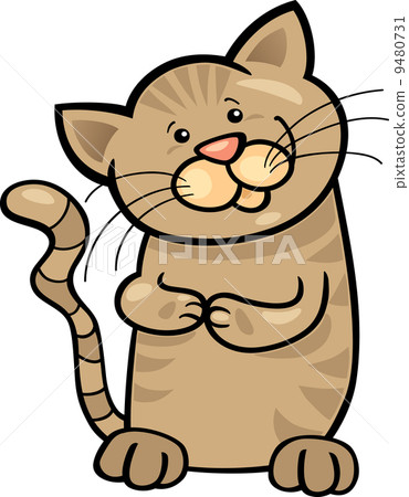 brown tabby kitten brown tabby kitten 9480731