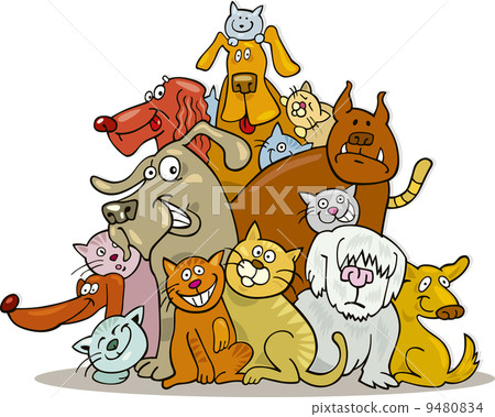Cats and Dogs group Cats and Dogs group 9480834