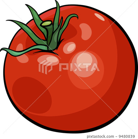 tomato vegetable cartoon illustration tomato vegetable cartoon illustration 9480839