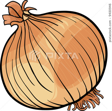 onion vegetable cartoon illustration 9480946
