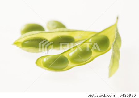 Edamame 9480950