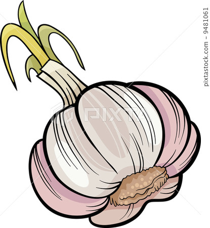 garlic vegetable cartoon illustration 9481061