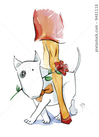 woman and bull terrier dog woman and bull terrier dog 9481118
