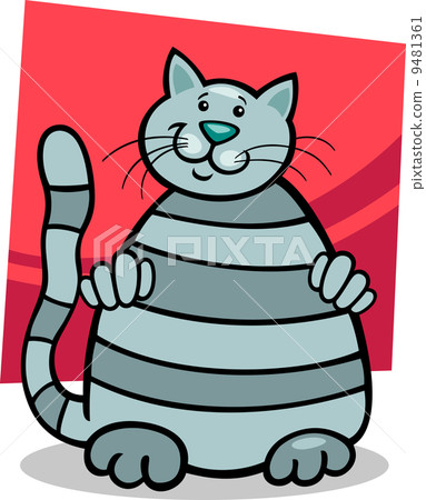 grey tabby cat 9481361