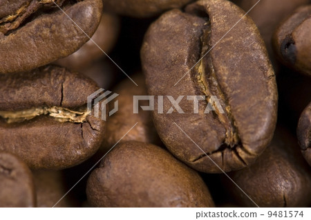 coffe beans 9481574