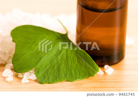 fresh leaves ginko biloba essential oil and sea salt - beauty tr fresh leaves ginko biloba essential oil and sea salt - beauty tr 9481745