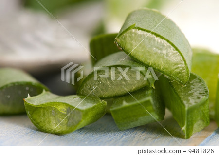 aloe vera juice with fresh leaves aloe vera juice with fresh leaves 9481826