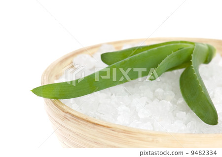 aloe vera 9482334