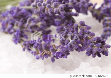 lavender bath 9482668