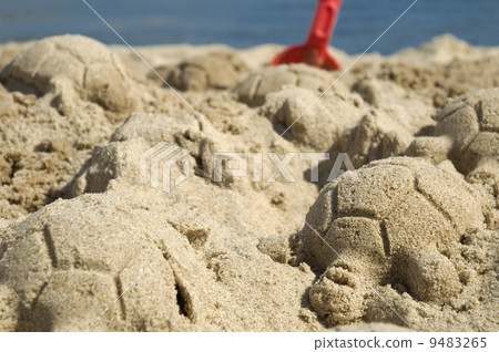 sand turtles 9483265