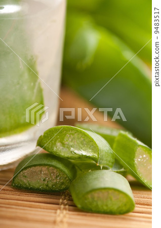 aloe vera juice with fresh leaves aloe vera juice with fresh leaves 9483517