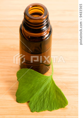 ginko biloba essential oil with fresh leaves - beauty treatment 9483565