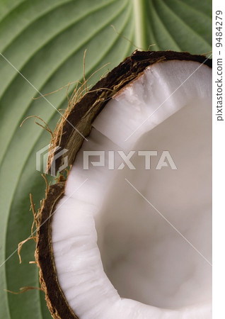 open coconut and green leaf. exotic 9484279