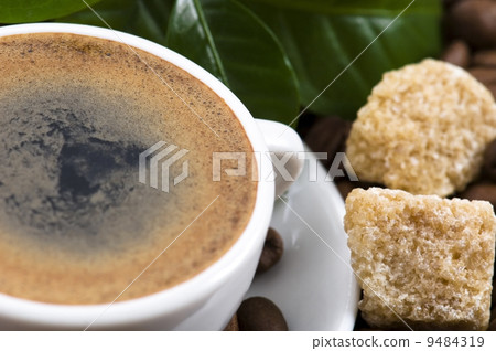 fresh coffee with coffee branch fresh coffee with coffee branch 9484319
