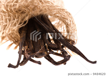 vanilla beans vanilla beans 9484620