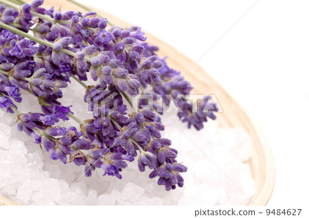 lavender bath lavender bath 9484627