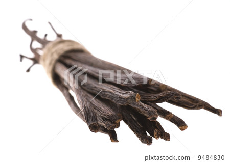 vanilla beans vanilla beans 9484830